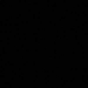 Meet your Posher, Sandy